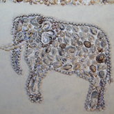 Shell work by Mrs van wyk